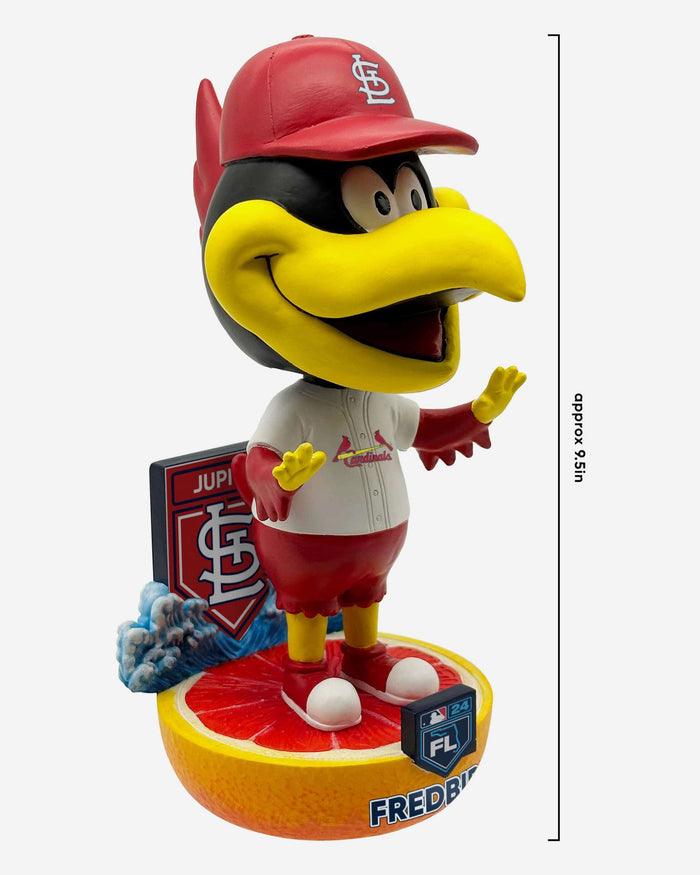 Fredbird St Louis Cardinals 2024 Spring Training Grapefruit League Mascot Bighead Bobblehead FOCO - FOCO.com