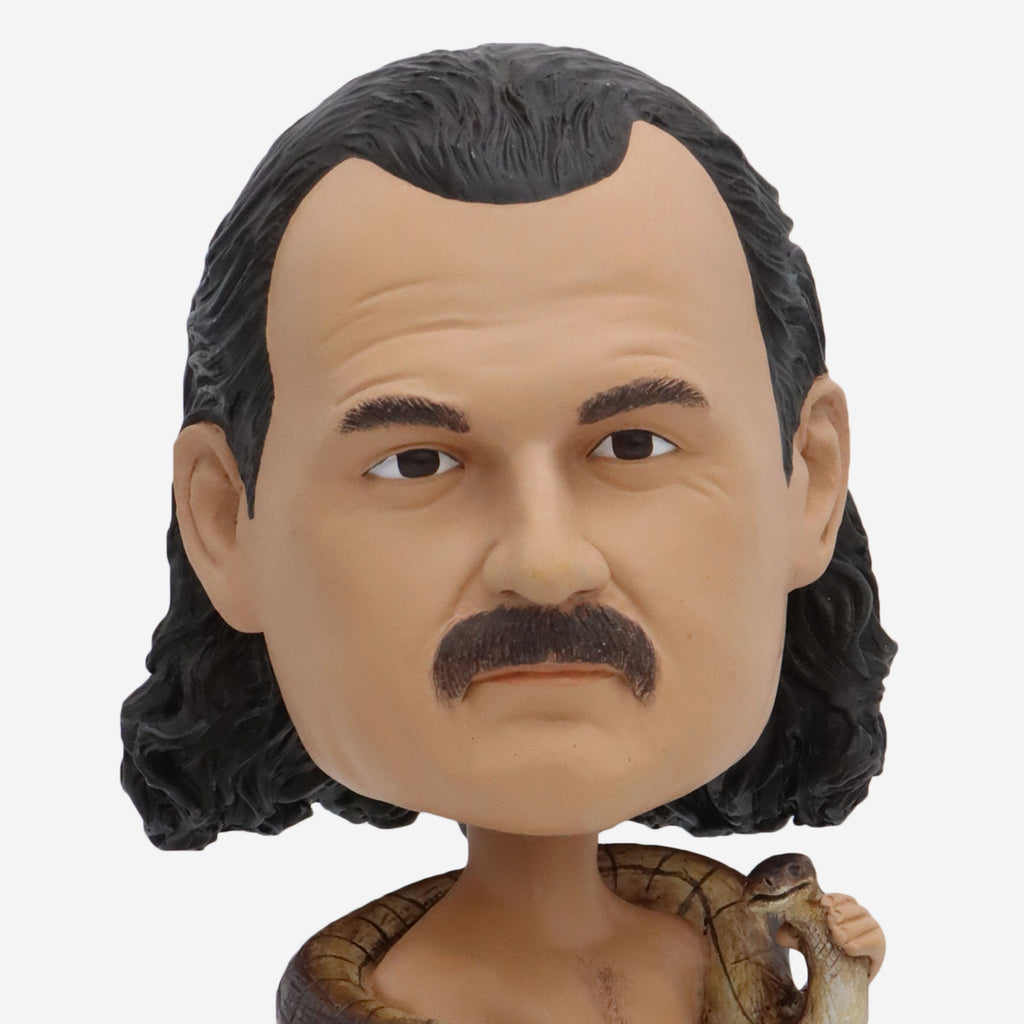 Jake the Snake Roberts WWE Stage Top Bighead Bobblehead FOCO