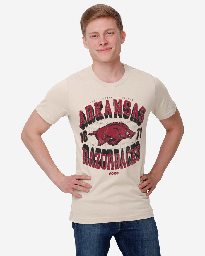 Arkansas Razorbacks Field Arched Wordmark T-Shirt FOCO - FOCO.com