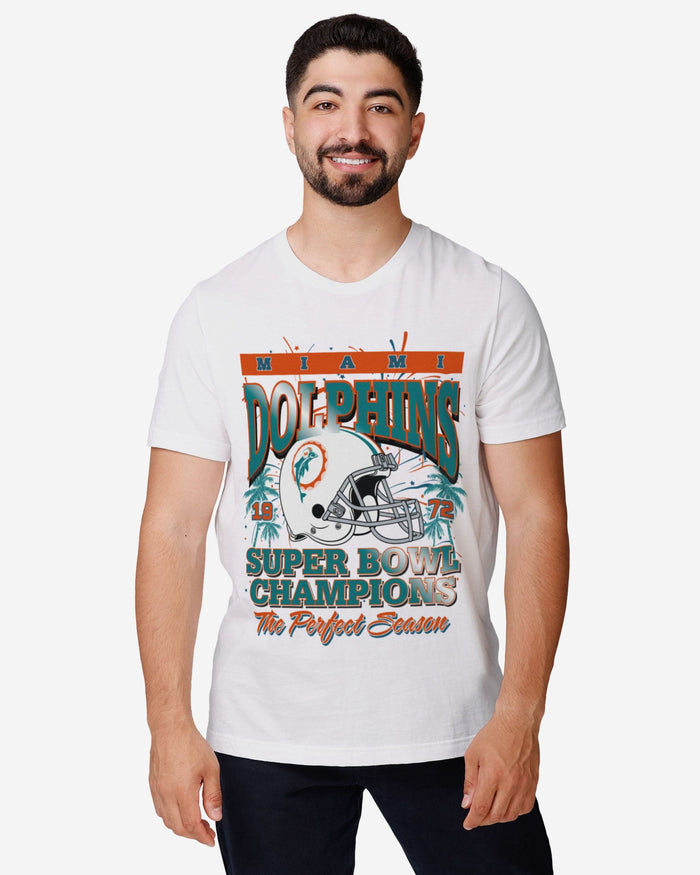 miami dolphins super bowl victories