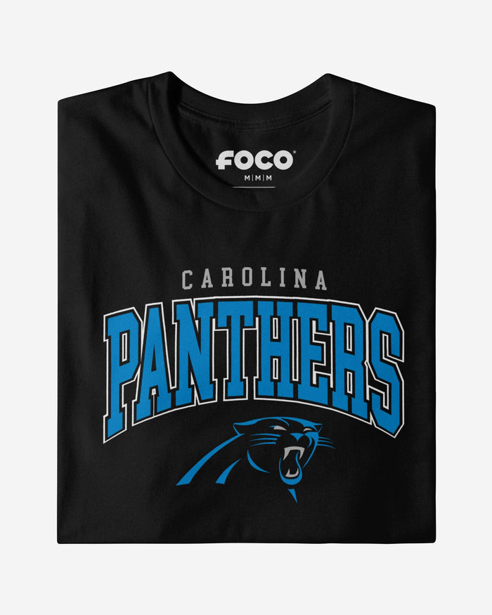 Carolina Panthers Classic Arched Logo Long Sleeve T-Shirt FOCO - FOCO.com