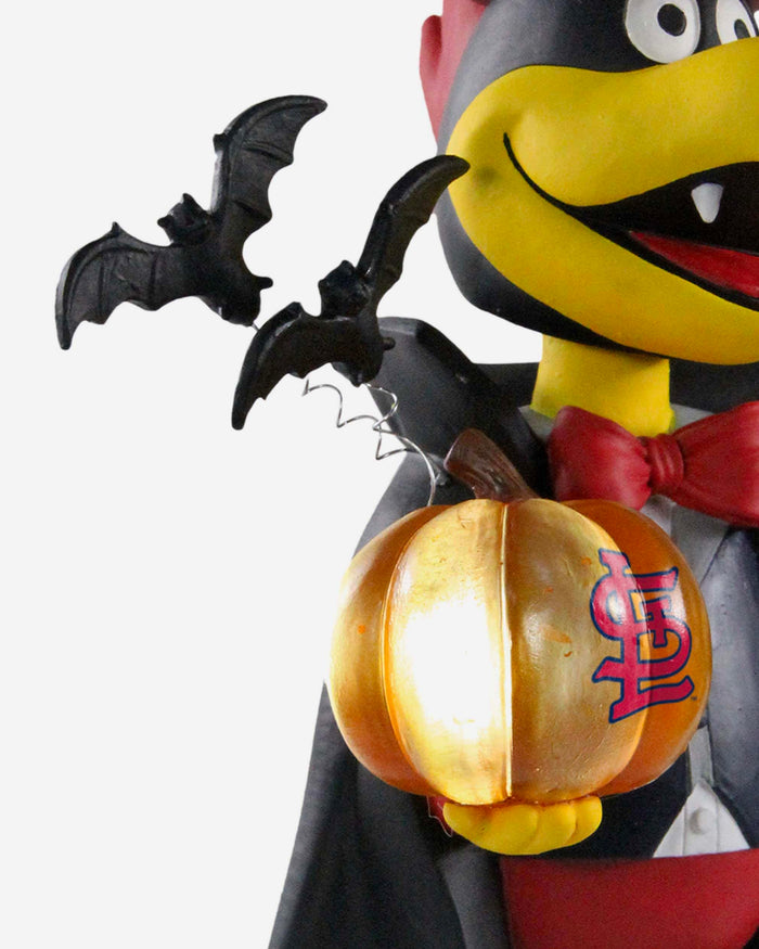 Fredbird St Louis Cardinals Halloween newest Mascot Bobblehead FOCO NEW ORIG BOX BOM