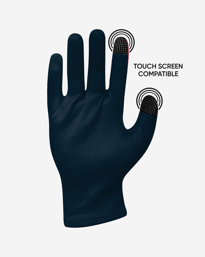 Houston Texans 2 Pack Reusable Stretch Gloves FOCO - FOCO.com