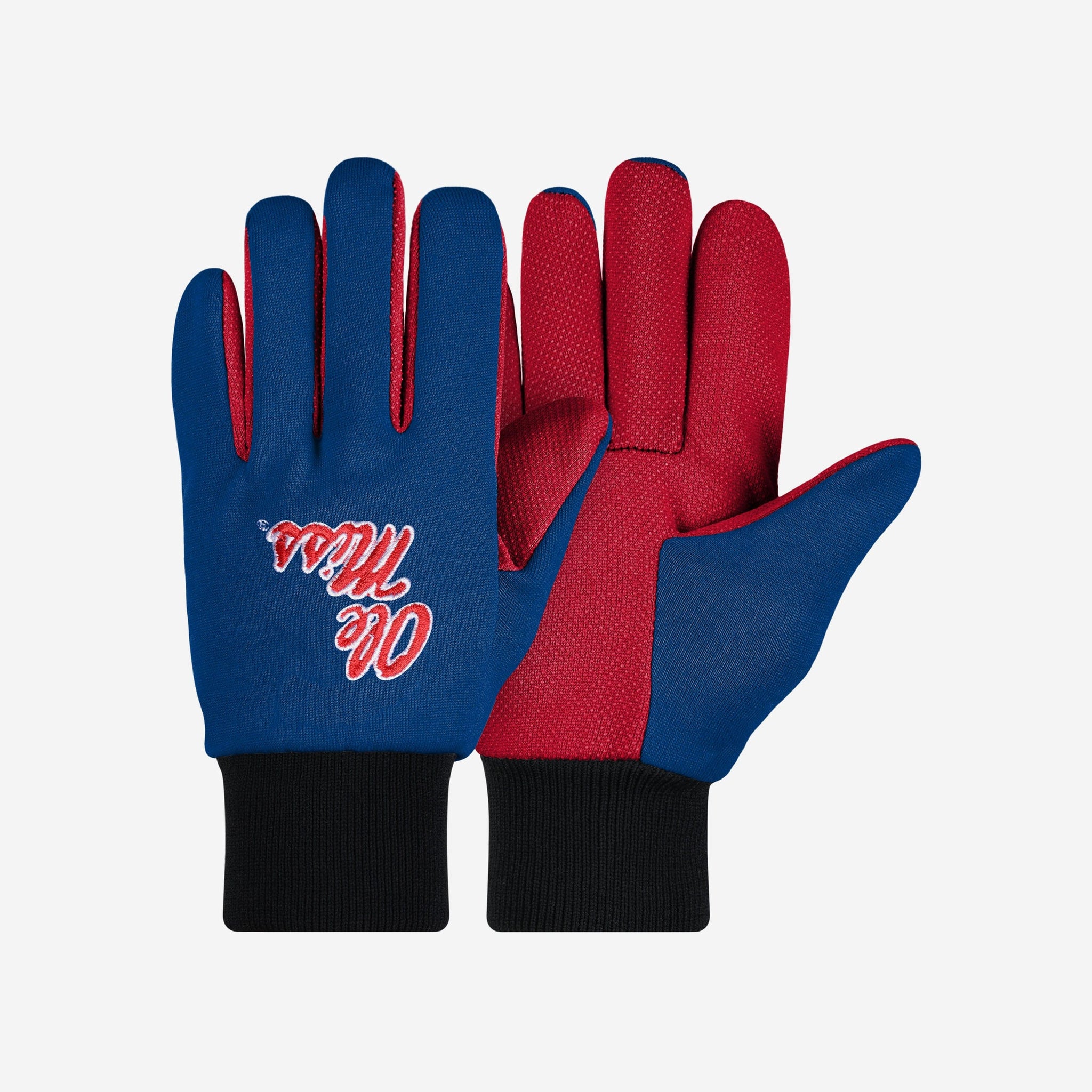 Washington Nationals MLB Baseball Gift Lot Bag, Gloves, Car Dice, Bottle  Jersey