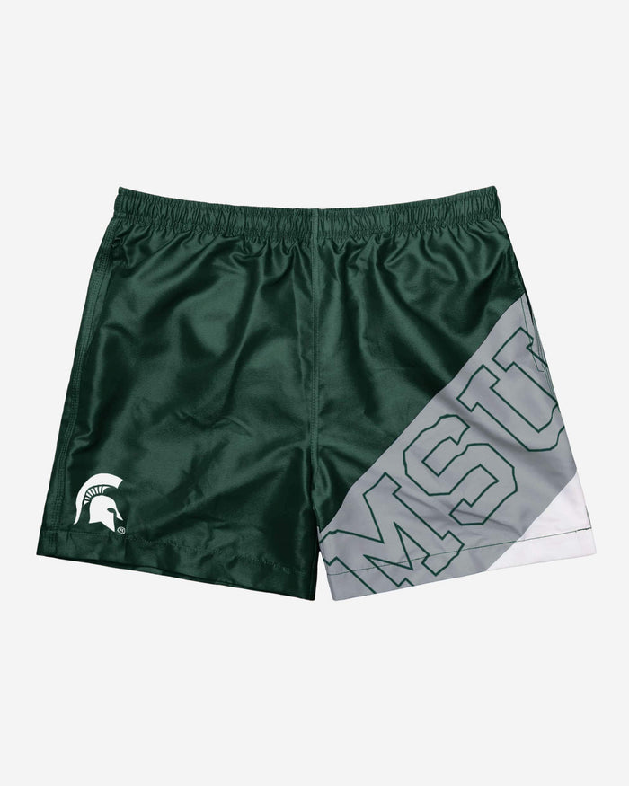 Michigan State Spartans Big Logo 5.5