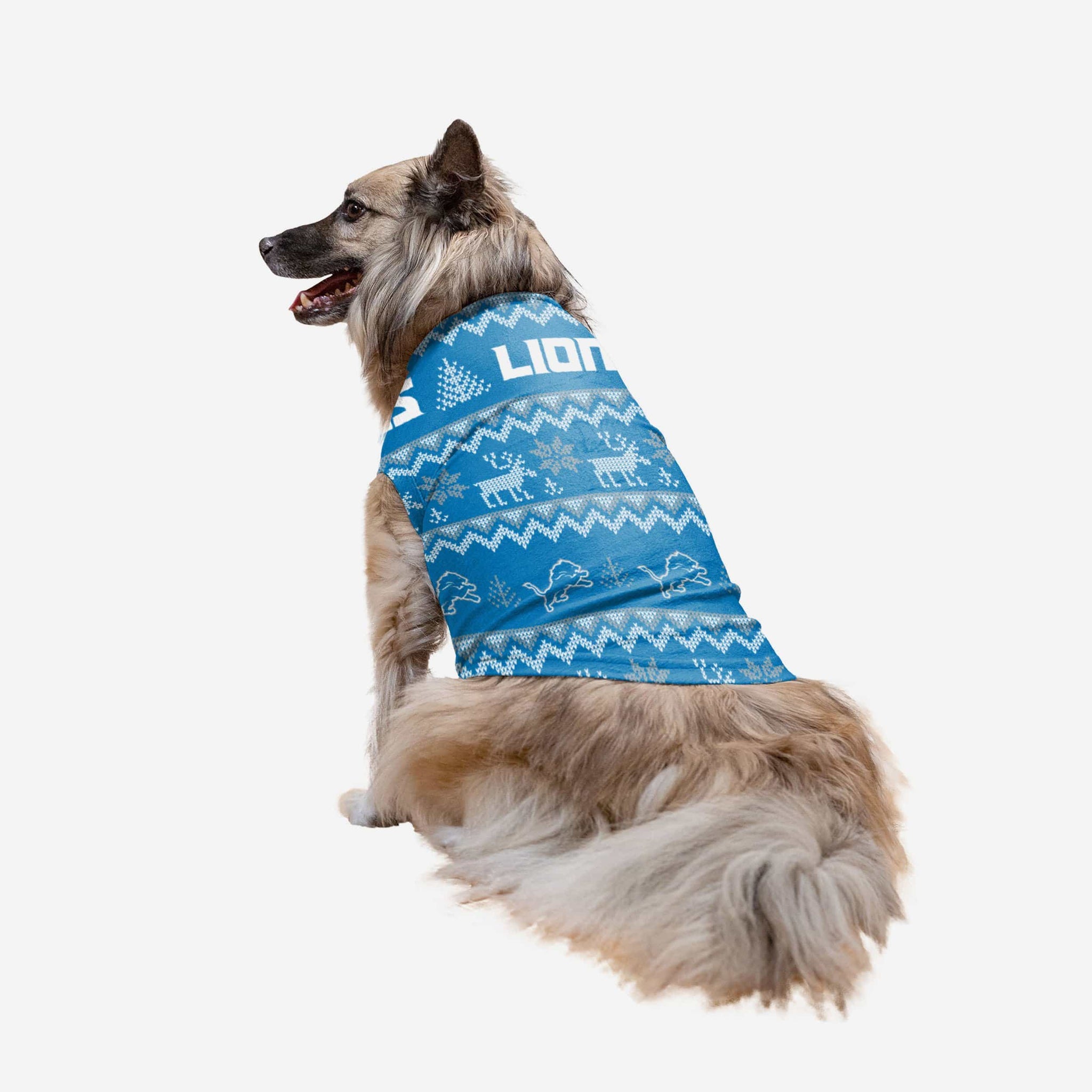 Detroit Lions Busy Block Dog Sweater FOCO