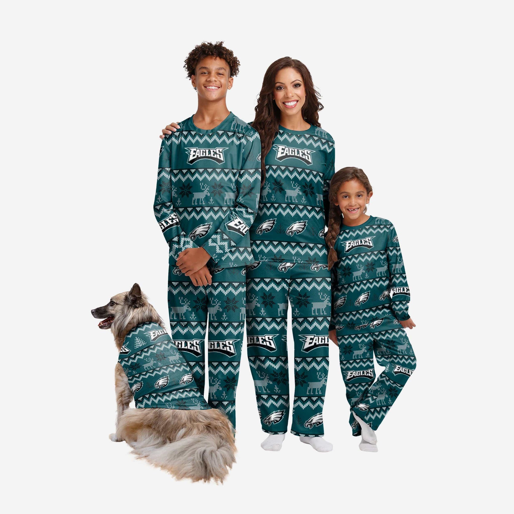 Philadelphia Eagles Dog Family Holiday Ugly Sweater, Size: M