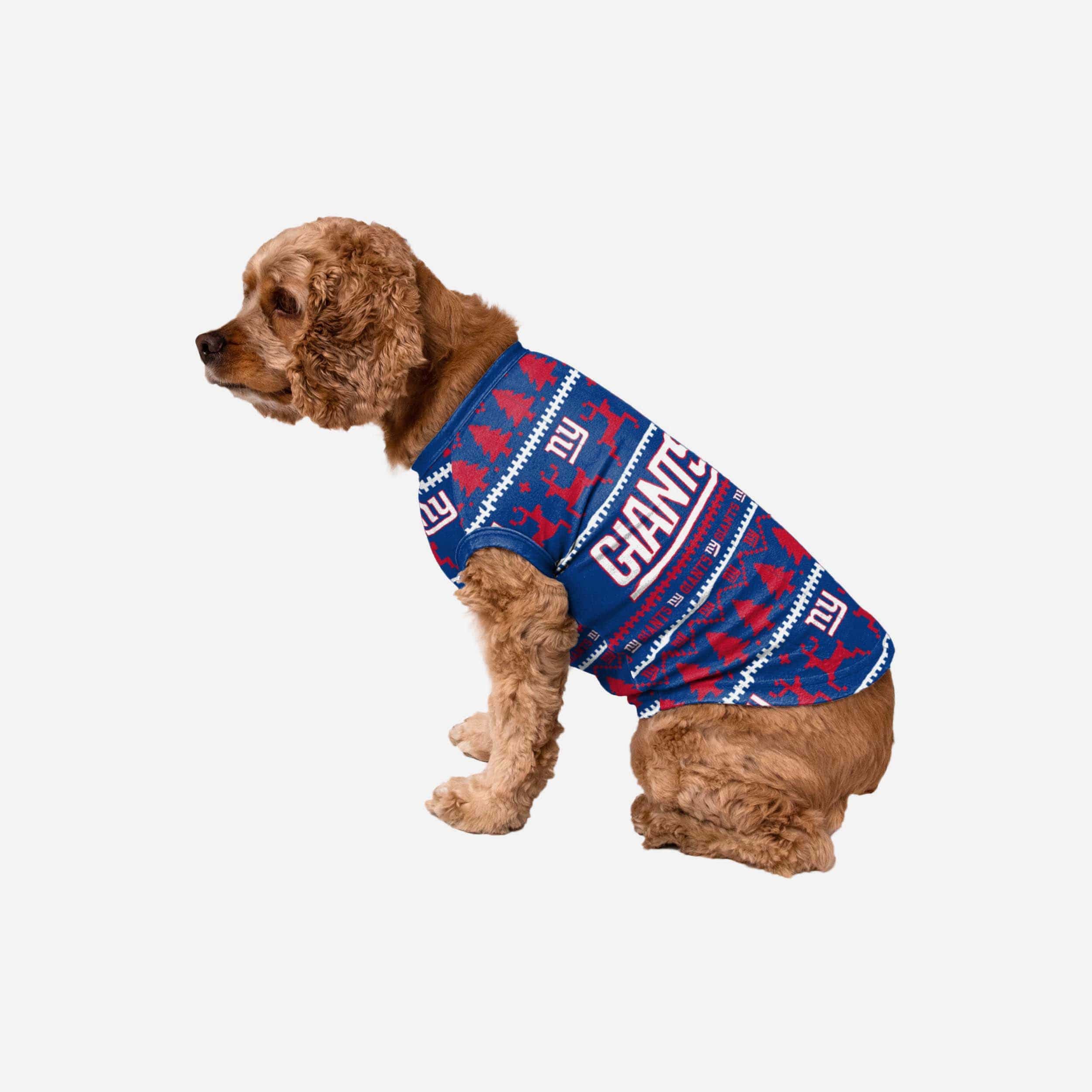 New York Giants Dog Family Holiday Sweater