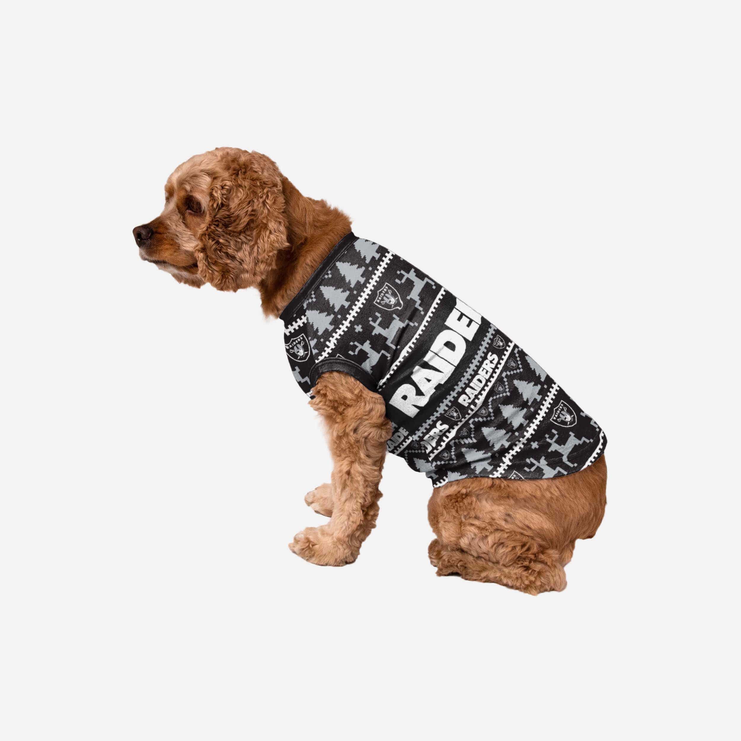 Las Vegas Raiders NFL Knitted Holiday Dog Sweater