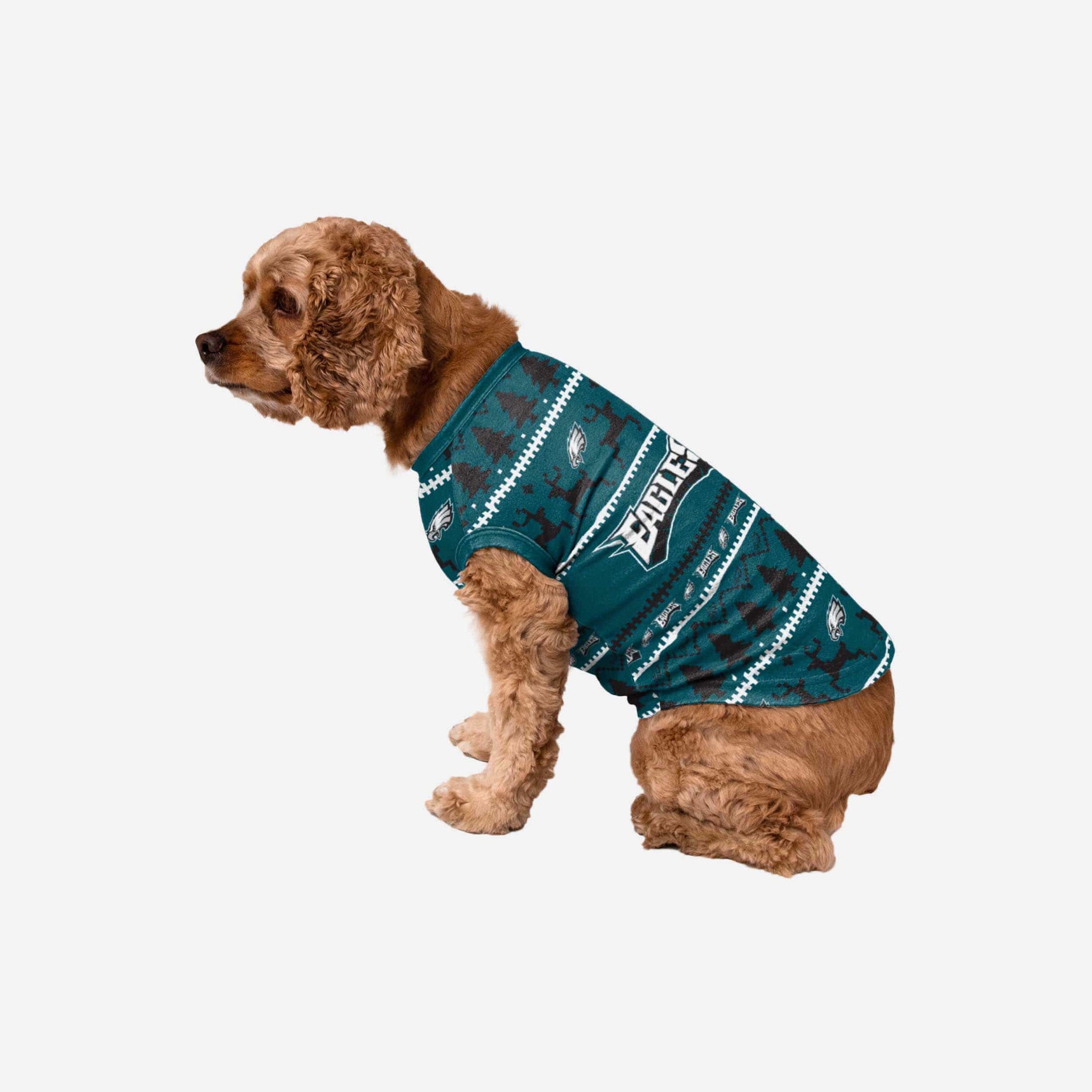 Philadelphia Eagles Dog Family Holiday Sweater FOCO